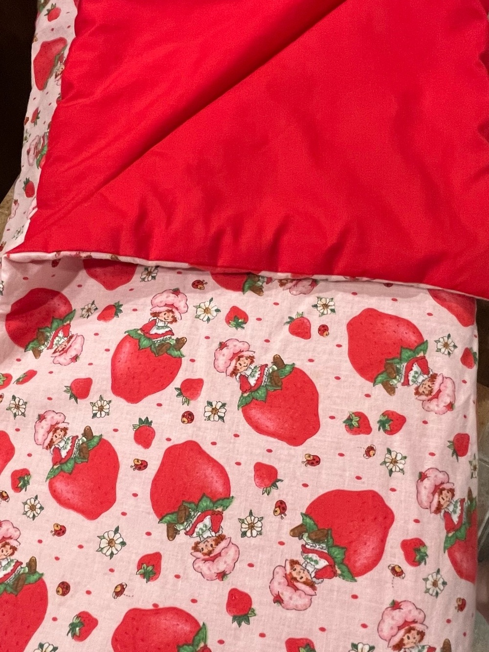 Vintage 2004 Strawberry Shortcake Homemade Reversible Blanket Red Yarn Detail